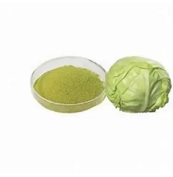 Fresh Cabbage Powder
